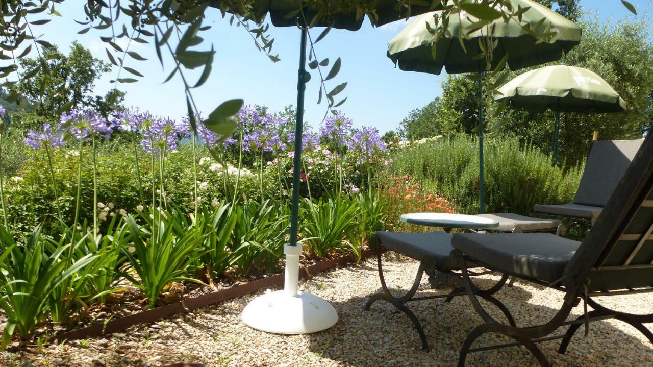 Le Vallon Des Oliviers Montauroux Ngoại thất bức ảnh
