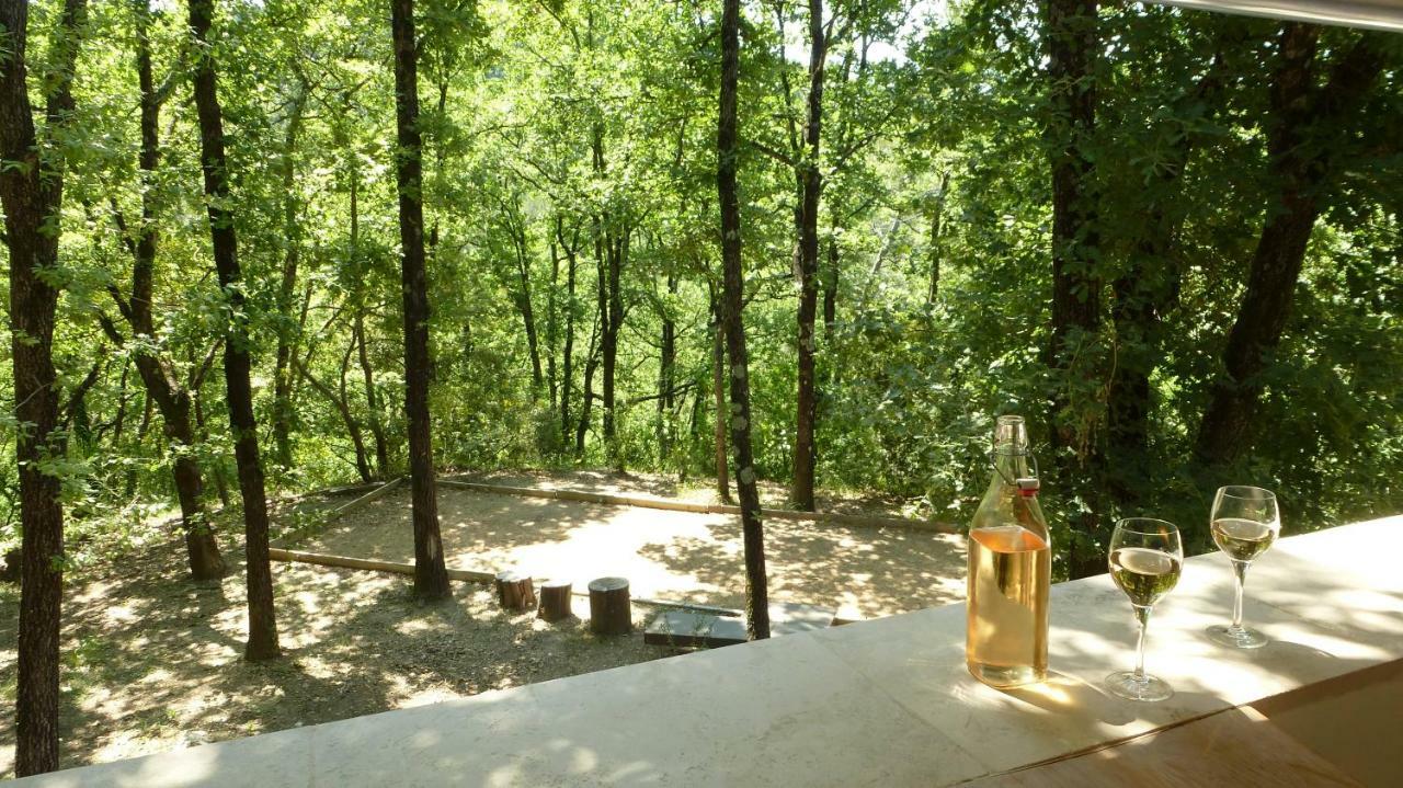 Le Vallon Des Oliviers Montauroux Ngoại thất bức ảnh