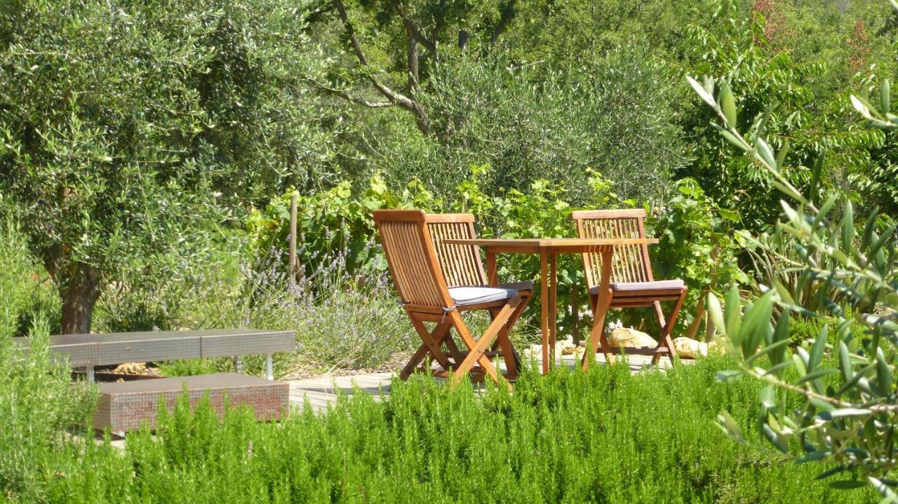 Le Vallon Des Oliviers Montauroux Ngoại thất bức ảnh