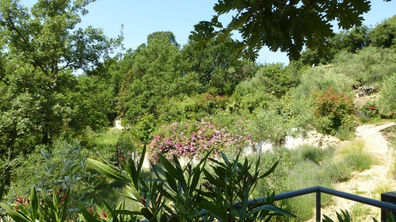 Le Vallon Des Oliviers Montauroux Ngoại thất bức ảnh